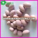 free sample breast enhancement pills best organic women health care supplement